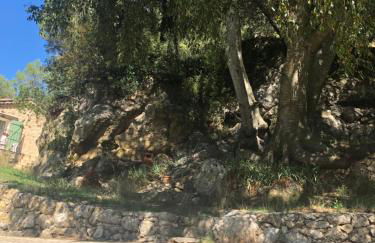 L'Olivier Fleurie Barjols - Foto 55