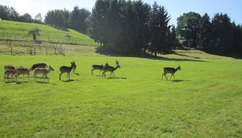Haus Alexander - Foto 4