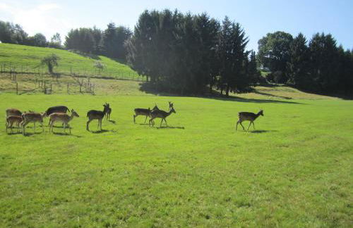 Haus Alexander - Foto 4