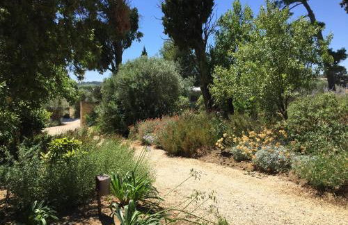 Lodge Montagnac - Foto 14