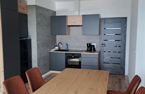 Apartamenty Zagórze 55 - Photo 19