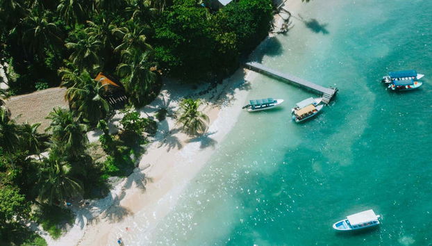 Zapatilla Island & Coral Cay Boat Tour - Foto 2