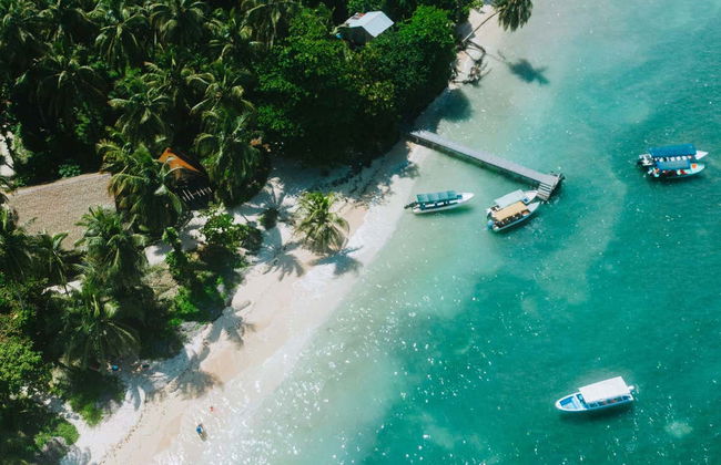 Zapatilla Island & Coral Cay Boat Tour - Foto 6