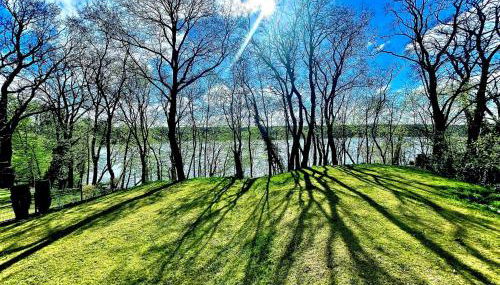 Stylisches See-Studio mit Badezugang & Garten - Foto 2