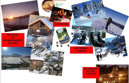 Les Gites de l étang :Studio à 20 mn de Gerardmer - Foto 39