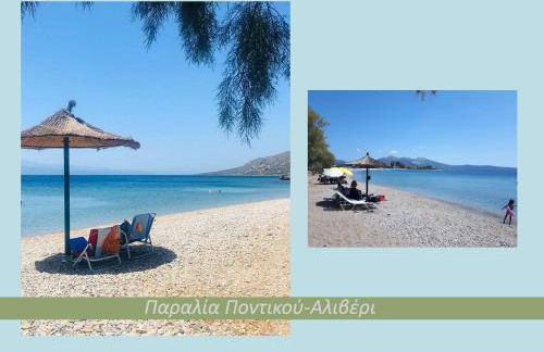 Ανέμη - Foto 37