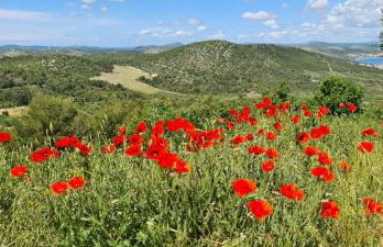 Lakeview Sunset Terrace - Foto 40