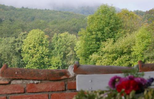 Ferienwohnungen Knodel - Foto 65