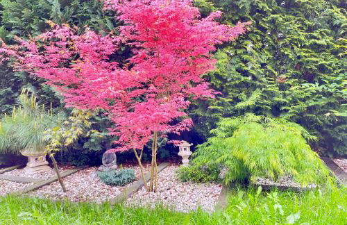 Ferienhaus in Polen- an den kaschubischen Seen - Foto 17