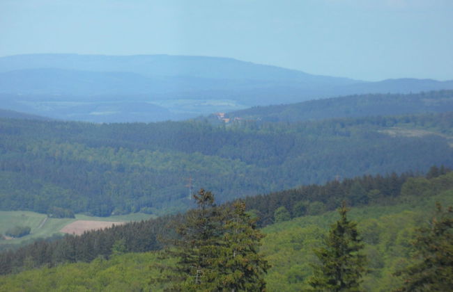 Dog-friendly Holiday Home in the Knull - Foto 27