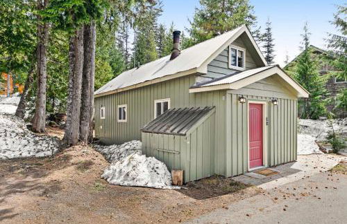 Sno-Bird #11 - Foto 1