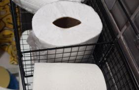 Flat Forte Orange - Ilha de Itamaracá - Foto 55