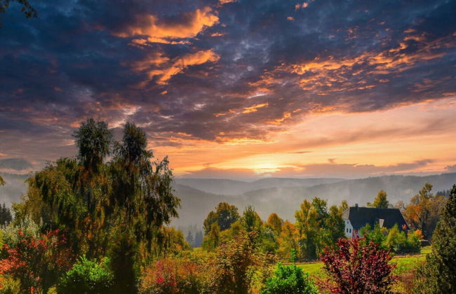 Holiday Home Scharzwald - Foto 15