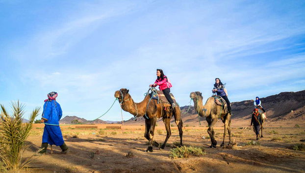 Exploring the desert