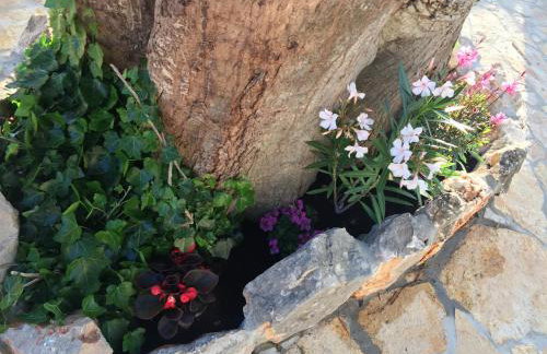 Luxury house Ivan with 4 bedrooms - Foto 57