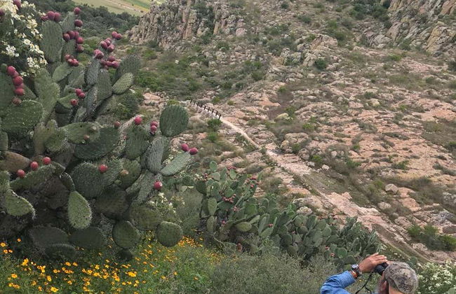 Randonnée à Guanajuato - Photo 3