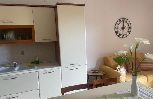 Marina's Venice garden - Foto 6