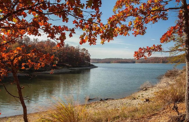 Cedarvale Cabins at Turner Falls - Photo 75