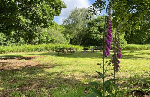 Deer Lodge - Photo 24