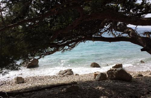 Apartments Stakic - Foto 53