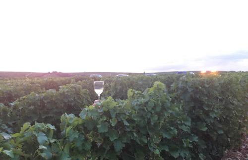 LE LOGIS ST PERE - Foto 27