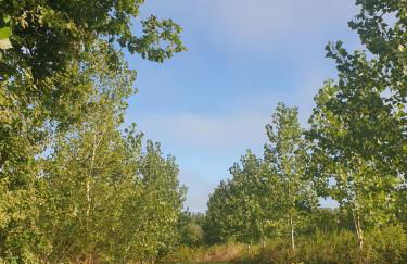 Gîte une histoire de village - Photo 31