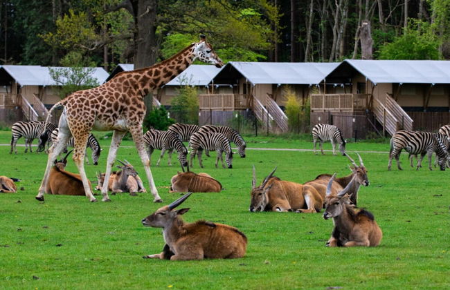 Agerup Comfortable Holiday Residence - Foto 13