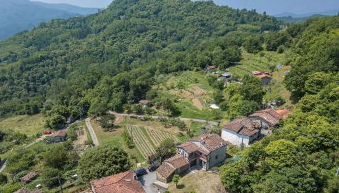 Casa Bandoni - Foto 3, Other