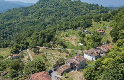 Casa Bandoni - Foto 3