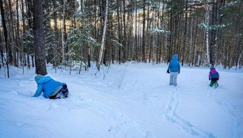 Stratton Ski Haus AFrame Hot Tub Sauna EV Okemo - Foto 5
