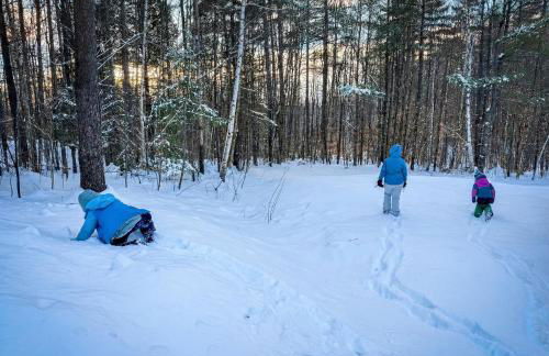 Stratton Ski Haus AFrame Hot Tub Sauna EV Okemo - Foto 5