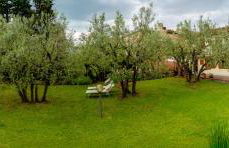 La Teodolinda - Foto 23