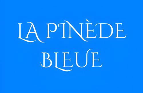 La Pinède Bleue - Photo 15
