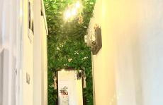 Jungle In The City ,Corfu - Kanoni - Foto 10