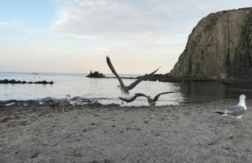 El jardín de La Isleta - Foto 26