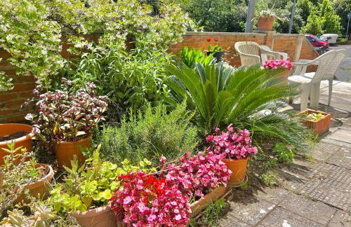 Ca del Sole - FREE Parking - Foto 19