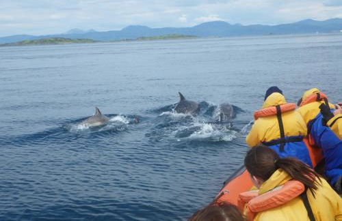 Tramway Cottages - Photo 92