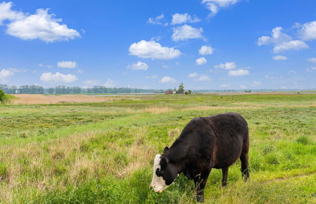Snug Bungalow in Insel Poel Germany near Beach - Photo 34