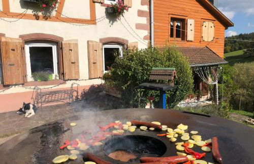 Maison pittoresque à Sainte-Croix-aux-Mines, vue sur la montagne - Foto 76