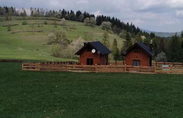 Domki na Zagroniu - Foto 22