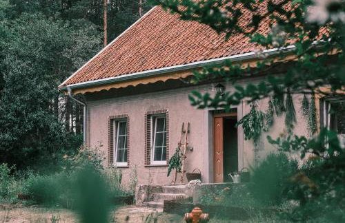 Tajna Bazia - Foto 1