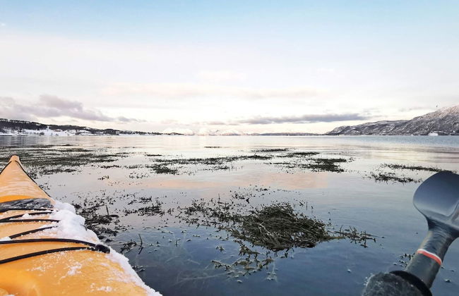 6 Person Holiday Home in Hamnvik - Foto 23