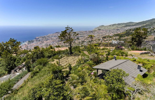 Quinta Devónia - Foto 26