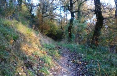 Casa Bartolacci Charme in Bivigliano (Near Mugello and Florence) - Foto 59