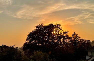 Rooftop Solingen - Foto 48