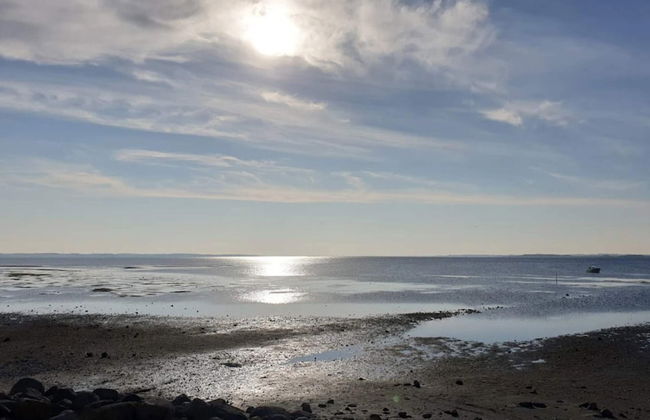 Modern Retreat in Klitgards-by Traum - Foto 34