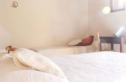 Pian del Pigro - Foto 15