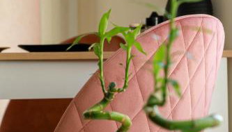 Feel Like home appartment - Foto 4