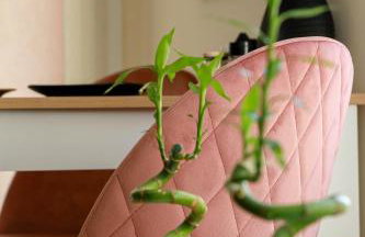 Feel Like home appartment - Foto 4