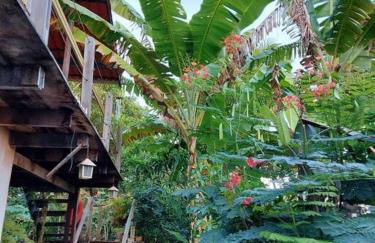 Hospedaria Recanto da Paz - Foto 46